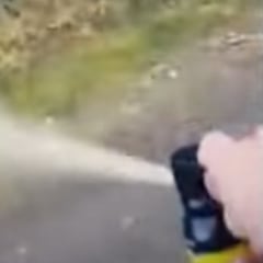 Doble ataque de puma a un trail runner