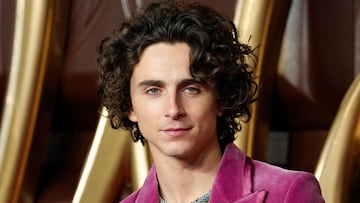 This is the fortune of Timothée Chalamet at 28 years old