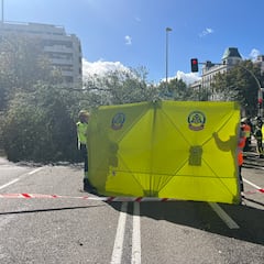 Los efectos de la borrasca Ciarán: muere una mujer en Madrid por la caída de un árbol