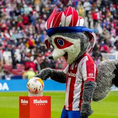 Atlético de Madrid - Betis en imágenes