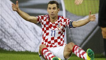 Darijo Srna.