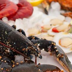 Comprar marisco para Navidad: Mariskito, O Percebeiro, Fresco y del Mar...