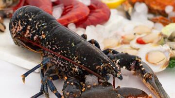 Comprar marisco para Navidad: Mariskito, O Percebeiro, Fresco y del Mar...