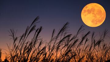 La superluna de septiembre, también conocida como ‘luna de la cosecha’, será un eclipse lunar parcial. Así puedes apreciar el fenómeno: hora y fecha en USA.