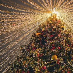 Aguinaldo Boyacense 2023: ¿Cuánto cuesta viajar a Tunja y cómo llegar?