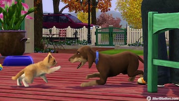 Captura de pantalla - ts3_pets_announce_cat_dog_play_01.jpg