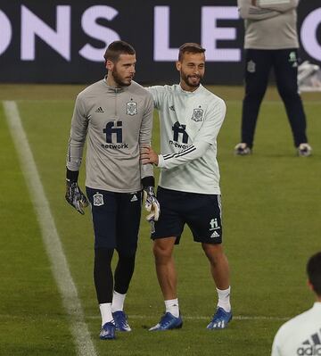 David de Gea y Sergio Canales.