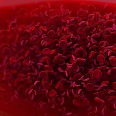 MAL: así es el nuevo grupo sanguíneo descubierto tras 50 años de investigación