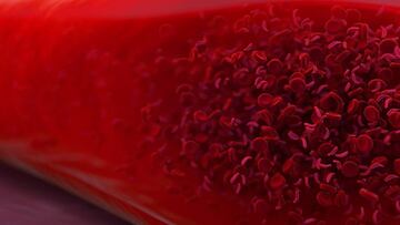 MAL: así es el nuevo grupo sanguíneo descubierto tras 50 años de investigación