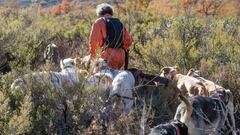 El podenco andaluz, el perro de caza más reconocido en España