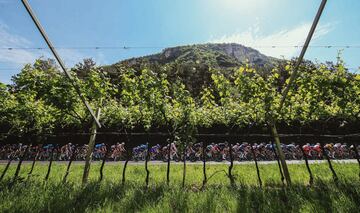 El pelotón en la decimoctava etapa del Giro de Italia 2021. 