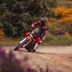 Schareina y Al Attiyah se coronan; Sainz roza el podio