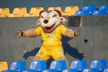 El único tigre que vive en un volcán; el es el Tigre de Peluche, mascota oficial de los Tigres de la UANL.