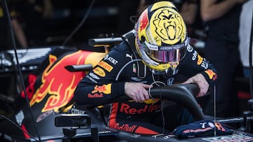 Max Verstappen (Red Bull). F1. 