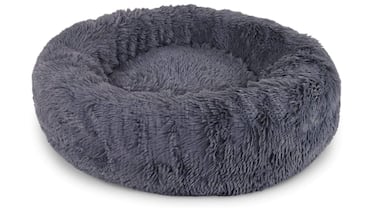 ¿Qué se necesita para tener un perro? 10 productos básicos (y baratos) para que cuides de tu mascota