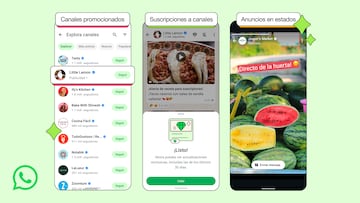 Whatsapp publicidad llega de qué manera