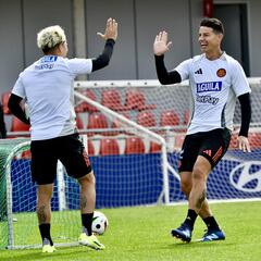 Colombia ya entrena en Madrid