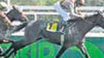 Nachita, ganando el Critérium de Potras.