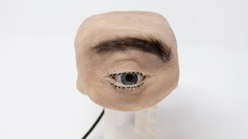 Eyecam, una webcam que parece un ojo humano real: ¿La usaríais?