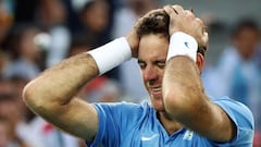 Juan Mart&iacute;n Del Potro puede ser el segundo sudamericano en ganar los Juegos Ol&iacute;mpicos tras Nicol&aacute;s Mass&uacute;, que lo hizo en Atenas 2004. 