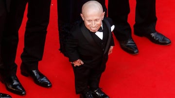 Fallece el actor Verne Troyer a los 49 años.