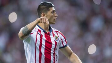 Alan Pulido, Chivas