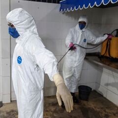 Cepa de Manaos: qué es una variante, qué síntomas produce y cómo llegó a Argentina