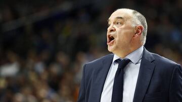 Pablo Laso, entrenador del Real Madrid.