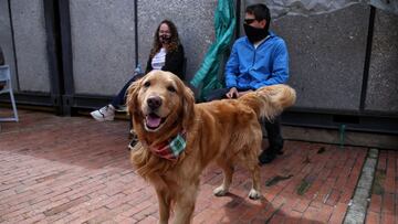 Hospital para mascotas en Bogot&aacute;. Conozca c&oacute;mo funcionar&aacute; el centro veterinario de la Alcald&iacute;a, sus precios y los servicios que ofrecer&aacute; para los animales.