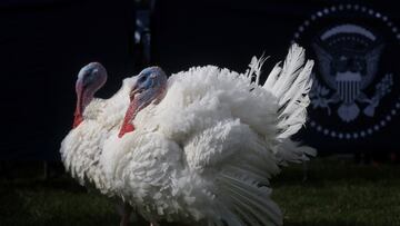 The US celebrates Thanksgiving annually on the fourth Thursday of November. It’s one of the eleven national holidays the country observes within a year.