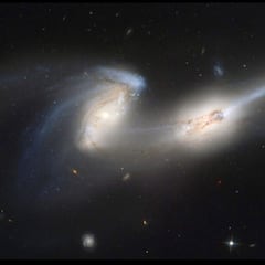 ¿Cuál es el origen de la expresión ‘hace un día de perros’ y por qué se asocia al verano?