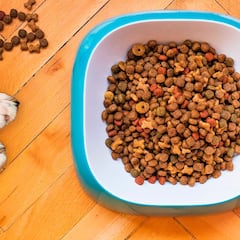 Los alimentos prohibidos que no pueden comer tus mascotas con la nueva Ley de Bienestar Animal