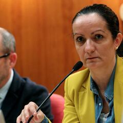 Fuentes desaconsejaba pedir la Fase 1 para Madrid en su informe