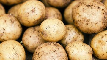 Un agricultor se quedó tirado con 32 toneladas de patatas en su campo: tiempo después, su granja se llenó de cientos de coches