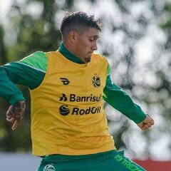 La gran noticia que recibió Nicolás Castillo