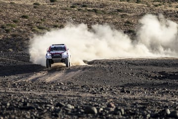 El asturiano se divierte en Sudáfrica con el coche ganador del rally junto a De Villiers y empieza a valorar de manera seria competir en la carrera del desierto.