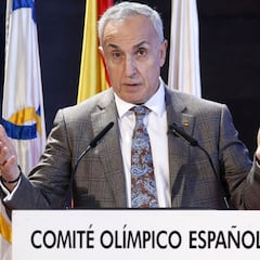 El COE espera que los deportistas españoles que irán a Tokio se vacunen en mayo