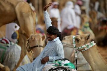 Se celebró en Dubai la Al Marmoom Heritage Festival, un acontecimiento que promueve el deporte tradicional de la carrera de camellos en la región. Los participantes lo hacen a través de un jinete robótico con control remoto. 