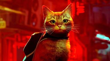 Stray becomes Steam's highest-rated game by users in 2022