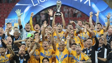 Luis Quiñones es campeón de la Liga MX con Tigres UANL