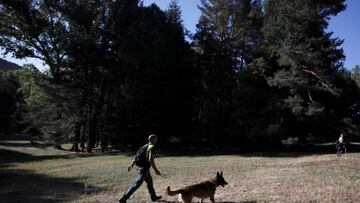 GRAF5990. CERCEDILLA (C. MADRID), 04/09/2019.- Voluntarios trabajan en la búsqueda de la esquiadora Blanca Fernández Ochoa, desaparecida desde el pasado día 23, este miércols en la sierra de Madrid. El portavoz de la familia de
