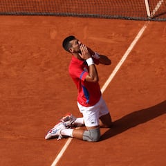 Un año del clímax de Djokovic