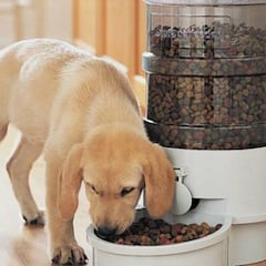 Dispositivos para alimentar a tu perro o gato cuando no estás