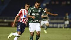 Miguel Borja volvería a jugar con Palmeiras tras siete partidos