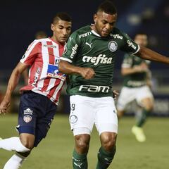 Borja quiere dejar Palmeiras y llegar al Junior de Barranquilla