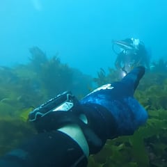 Dos buceadores, atrapados en el fondo del mar por un tiburón