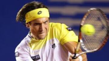 El tenista espa&ntilde;ol David Ferrer devuelve una bola ante el croata Antonio Veic.