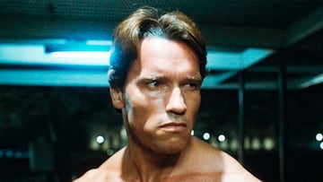 Terminator Arnold Schwarzenegger peinado