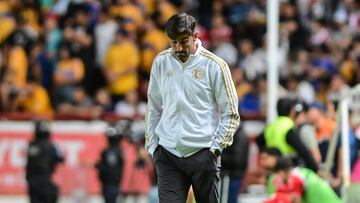 Tigres cesa a Veljko Paunovic
