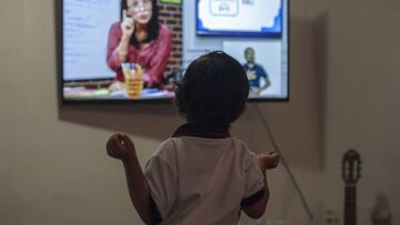 ¿Cómo tomar clases del nivel básico a distancia?